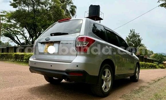 Gura Yakoze Subaru Forester Other Imodoka i Bugembe mu Eastern Gura Yakoze Subaru Forester Other Imodoka i Bugembe mu Eastern