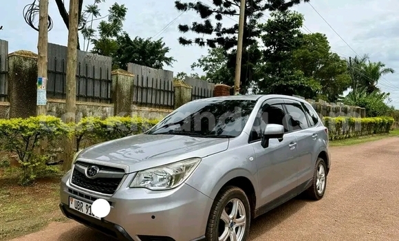 Gura Yakoze Subaru Forester Other Imodoka i Bugembe mu Eastern Gura Yakoze Subaru Forester Other Imodoka i Bugembe mu Eastern