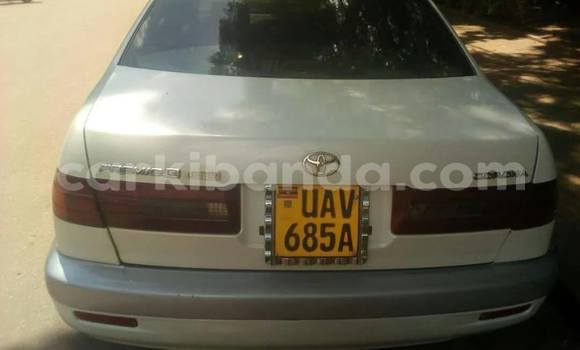 Buy Used Toyota Premio White Car in Kampala in Uganda Buy Used Toyota Premio White Car in Kampala in Uganda