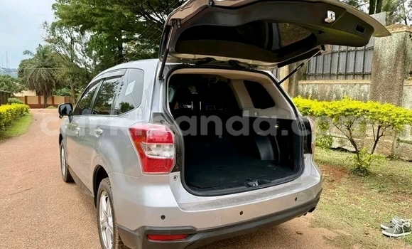 Gura Yakoze Subaru Forester Other Imodoka i Bugembe mu Eastern Gura Yakoze Subaru Forester Other Imodoka i Bugembe mu Eastern