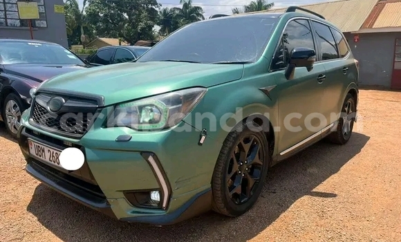 Buy Used Subaru Forester Green Car in Hima in Western Buy Used Subaru Forester Green Car in Hima in Western