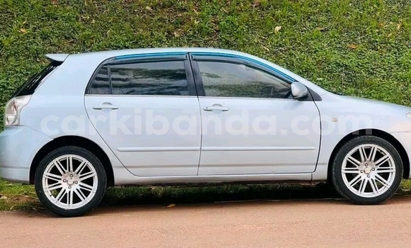 Nunua Ilio tumika Toyota Allex Nyeupe Gari ndani ya Bundibugyo nchini Magharibi