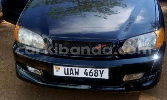 Buy Used Toyota Ipsum Black Car in Kampala in Uganda Buy Used Toyota Ipsum Black Car in Kampala in Uganda