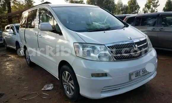 Gura Yakoze Toyota Alphard Other Imodoka i Bundibugyo mu Western Gura Yakoze Toyota Alphard Other Imodoka i Bundibugyo mu Western