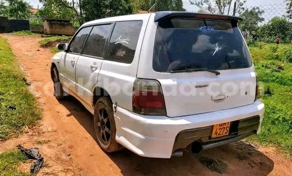 Gura Yakoze Suzuki Carry White Imodoka i Bundibugyo mu Western Gura Yakoze Suzuki Carry White Imodoka i Bundibugyo mu Western