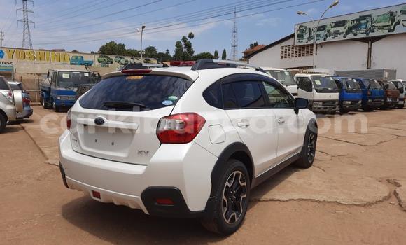 Nunua Imported Subaru XV Nyeupe Gari ndani ya Kampala nchini Uganda Nunua Imported Subaru XV Nyeupe Gari ndani ya Kampala nchini Uganda