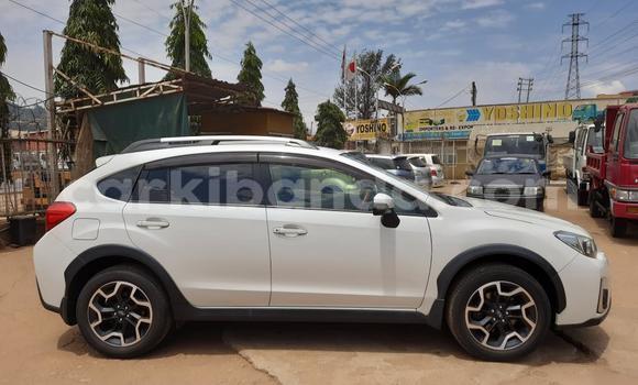 Nunua Imported Subaru XV Nyeupe Gari ndani ya Kampala nchini Uganda Nunua Imported Subaru XV Nyeupe Gari ndani ya Kampala nchini Uganda