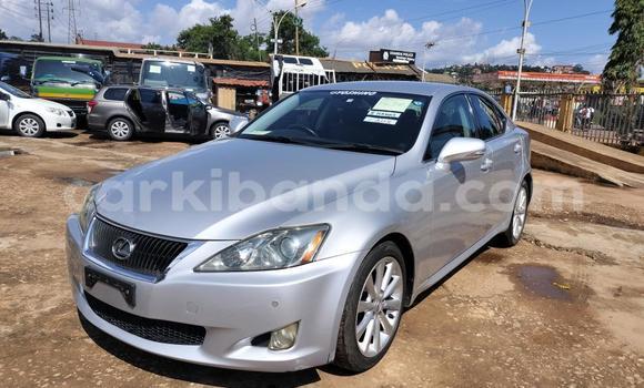 Acheter Import Voiture Lexus IS Gris à Kampala, Ouganda Acheter Import Voiture Lexus IS Gris à Kampala, Ouganda