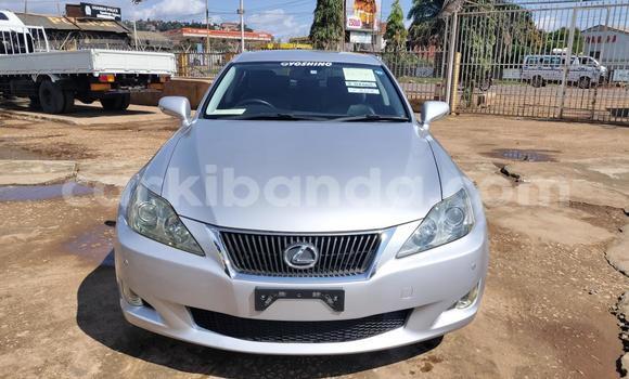 Acheter Import Voiture Lexus IS Gris à Kampala, Ouganda Acheter Import Voiture Lexus IS Gris à Kampala, Ouganda