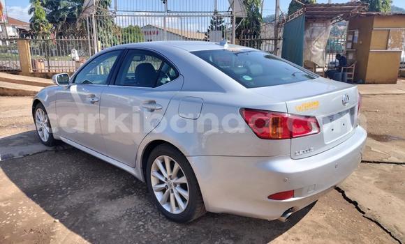 Acheter Import Voiture Lexus IS Gris à Kampala, Ouganda Acheter Import Voiture Lexus IS Gris à Kampala, Ouganda