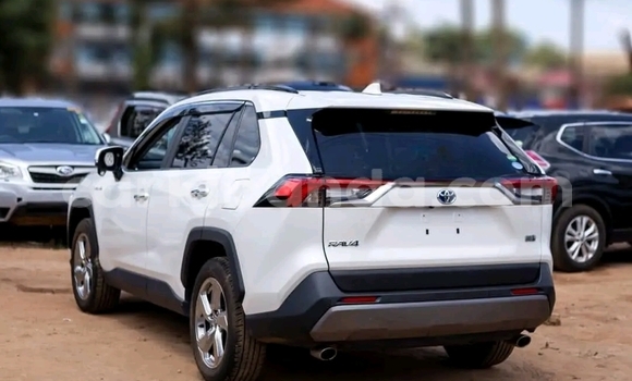 Buy Used Toyota RAV4 White Car in Kampala in Uganda Buy Used Toyota RAV4 White Car in Kampala in Uganda