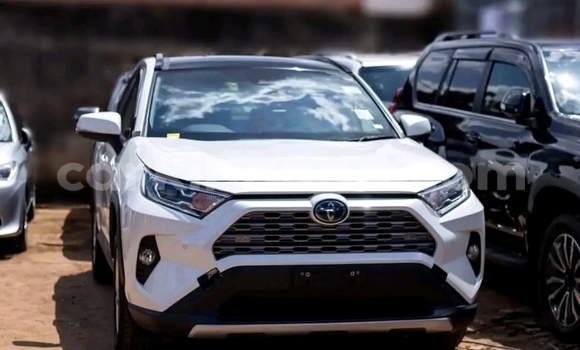 Buy Used Toyota RAV4 White Car in Kampala in Uganda Buy Used Toyota RAV4 White Car in Kampala in Uganda