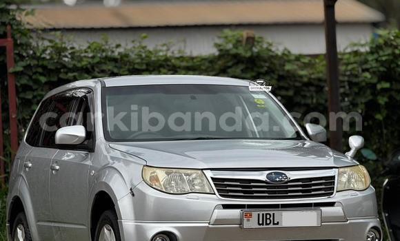 Gura Yakoze Subaru Forester Silver Imodoka i Entebbe mu Uganda