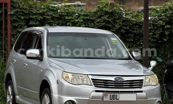 Buy Used Subaru Forester Silver Car in Entebbe in Uganda Buy Used Subaru Forester Silver Car in Entebbe in Uganda