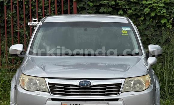 Buy Used Subaru Forester Silver Car in Entebbe in Uganda Buy Used Subaru Forester Silver Car in Entebbe in Uganda