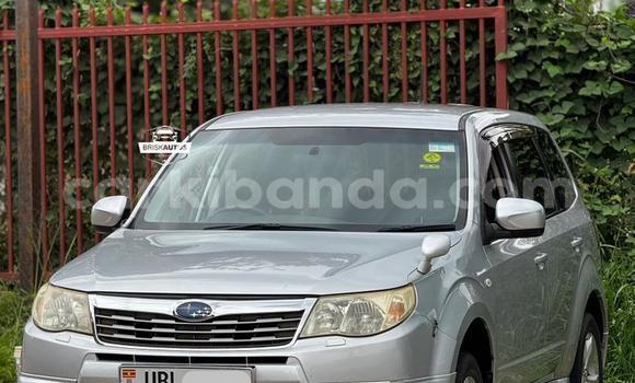 Buy Used Subaru Forester Silver Car in Entebbe in Uganda Buy Used Subaru Forester Silver Car in Entebbe in Uganda