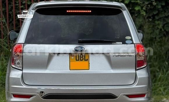 Buy Used Subaru Forester Silver Car in Entebbe in Uganda Buy Used Subaru Forester Silver Car in Entebbe in Uganda