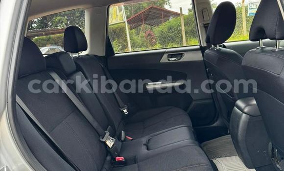 Buy Used Subaru Forester Silver Car in Entebbe in Uganda Buy Used Subaru Forester Silver Car in Entebbe in Uganda