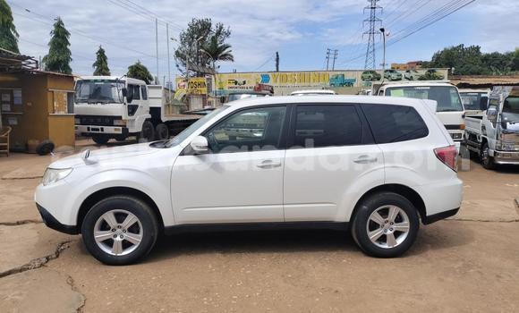 Acheter Import Voiture Subaru Forester Blanc à Kampala, Ouganda Acheter Import Voiture Subaru Forester Blanc à Kampala, Ouganda