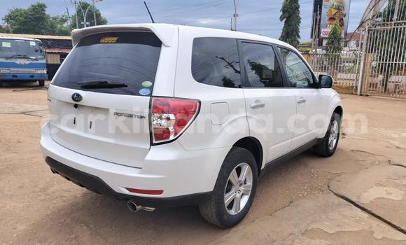Acheter Import Voiture Subaru Forester Blanc à Kampala, Ouganda Acheter Import Voiture Subaru Forester Blanc à Kampala, Ouganda