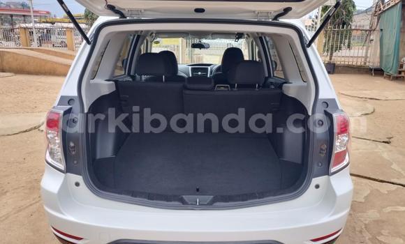 Acheter Import Voiture Subaru Forester Blanc à Kampala, Ouganda Acheter Import Voiture Subaru Forester Blanc à Kampala, Ouganda