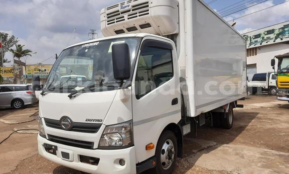 Buy Import Hino Ranger White Truck in Kampala in Uganda