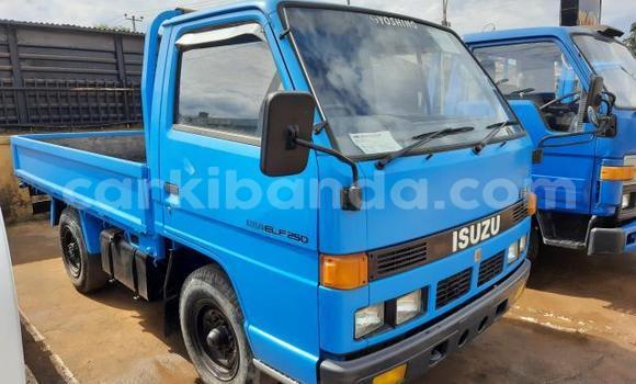 Acheter Import Utilitaire Isuzu Bighorn Bleu à Kampala, Ouganda Acheter Import Utilitaire Isuzu Bighorn Bleu à Kampala, Ouganda