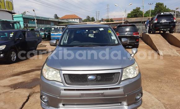 Nunua Imported Subaru Forester Fedha Gari ndani ya Kampala nchini Uganda Nunua Imported Subaru Forester Fedha Gari ndani ya Kampala nchini Uganda