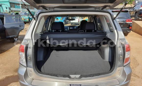 Nunua Imported Subaru Forester Fedha Gari ndani ya Kampala nchini Uganda Nunua Imported Subaru Forester Fedha Gari ndani ya Kampala nchini Uganda