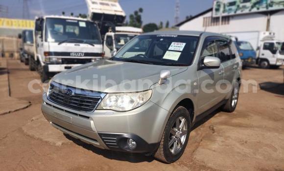 Buy Import Subaru Forester Other Car in Kampala in Uganda