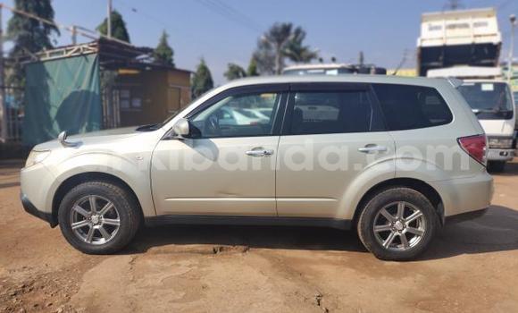 Acheter Import Voiture Subaru Forester Autre à Kampala, Ouganda Acheter Import Voiture Subaru Forester Autre à Kampala, Ouganda