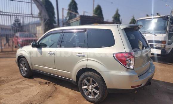 Acheter Import Voiture Subaru Forester Autre à Kampala, Ouganda Acheter Import Voiture Subaru Forester Autre à Kampala, Ouganda