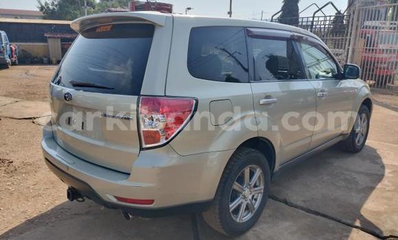 Acheter Import Voiture Subaru Forester Autre à Kampala, Ouganda Acheter Import Voiture Subaru Forester Autre à Kampala, Ouganda