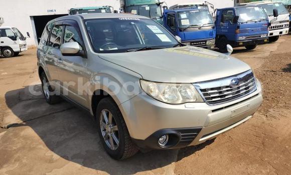 Acheter Import Voiture Subaru Forester Autre à Kampala, Ouganda Acheter Import Voiture Subaru Forester Autre à Kampala, Ouganda