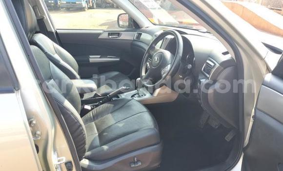 Acheter Import Voiture Subaru Forester Autre à Kampala, Ouganda Acheter Import Voiture Subaru Forester Autre à Kampala, Ouganda