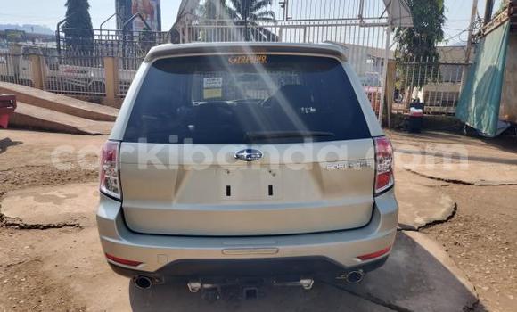 Acheter Import Voiture Subaru Forester Autre à Kampala, Ouganda Acheter Import Voiture Subaru Forester Autre à Kampala, Ouganda