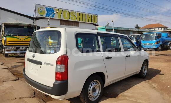 Acheter Import Voiture Toyota Probox Blanc à Kampala, Ouganda Acheter Import Voiture Toyota Probox Blanc à Kampala, Ouganda