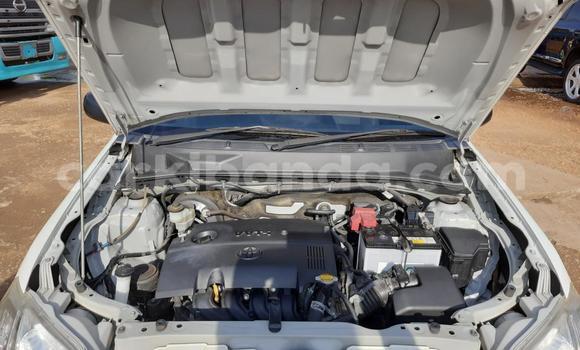 Acheter Import Voiture Toyota Probox Blanc à Kampala, Ouganda Acheter Import Voiture Toyota Probox Blanc à Kampala, Ouganda