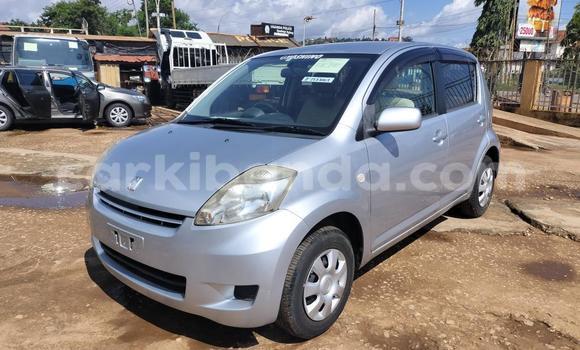 Buy Import Toyota Passo Silver Car in Kampala in Uganda