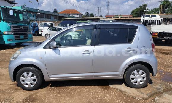 Acheter Import Voiture Toyota Passo Gris à Kampala, Ouganda Acheter Import Voiture Toyota Passo Gris à Kampala, Ouganda