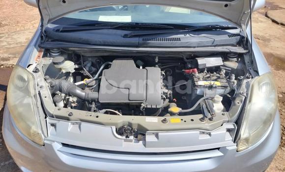 Acheter Import Voiture Toyota Passo Gris à Kampala, Ouganda Acheter Import Voiture Toyota Passo Gris à Kampala, Ouganda