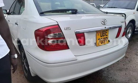 Buy Used Toyota Altezza White Car in Kampala in Uganda