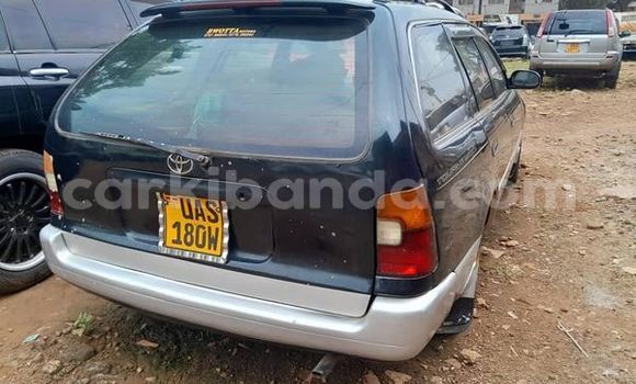 Acheter Occasion Voiture Toyota Touring HiAce Autre à Kampala, Ouganda Acheter Occasion Voiture Toyota Touring HiAce Autre à Kampala, Ouganda