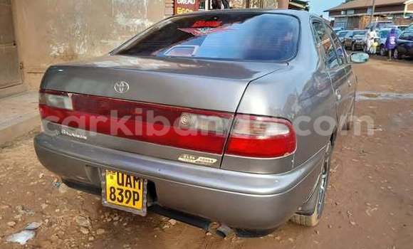 Acheter Occasion Voiture Toyota IST Autre à Kampala, Ouganda Acheter Occasion Voiture Toyota IST Autre à Kampala, Ouganda