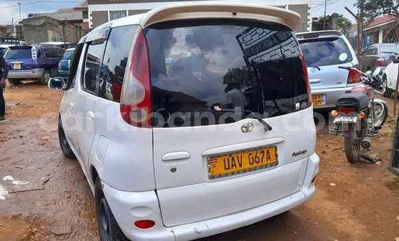 Buy Used Acura CSX Other Car in Kampala in Uganda