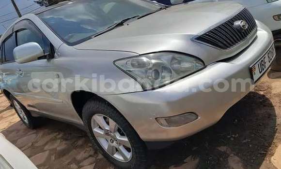 Buy Used Acura CSX Other Car in Kampala in Uganda