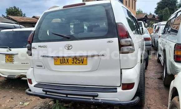 Acheter Occasion Voiture Toyota Prado Autre à Kampala, Ouganda Acheter Occasion Voiture Toyota Prado Autre à Kampala, Ouganda