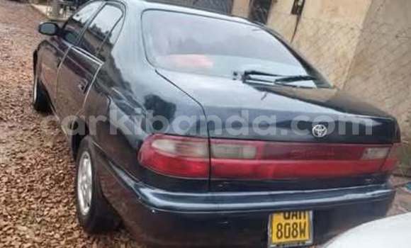 Buy Used Toyota Corolla Other Car in Kampala in Uganda