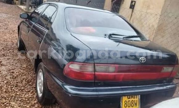 Acheter Occasion Voiture Toyota Corolla Autre à Kampala, Ouganda Acheter Occasion Voiture Toyota Corolla Autre à Kampala, Ouganda
