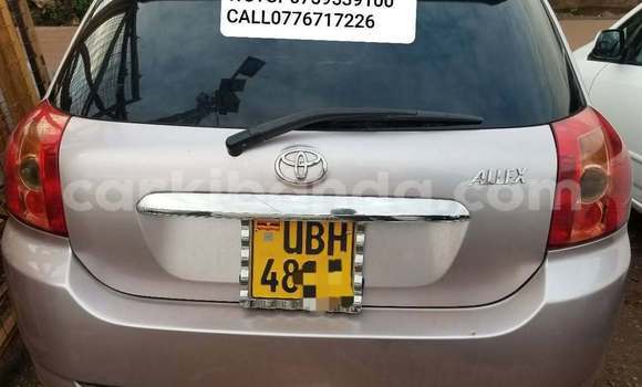 Acheter Occasion Voiture Toyota Allex Autre à Kampala, Ouganda Acheter Occasion Voiture Toyota Allex Autre à Kampala, Ouganda